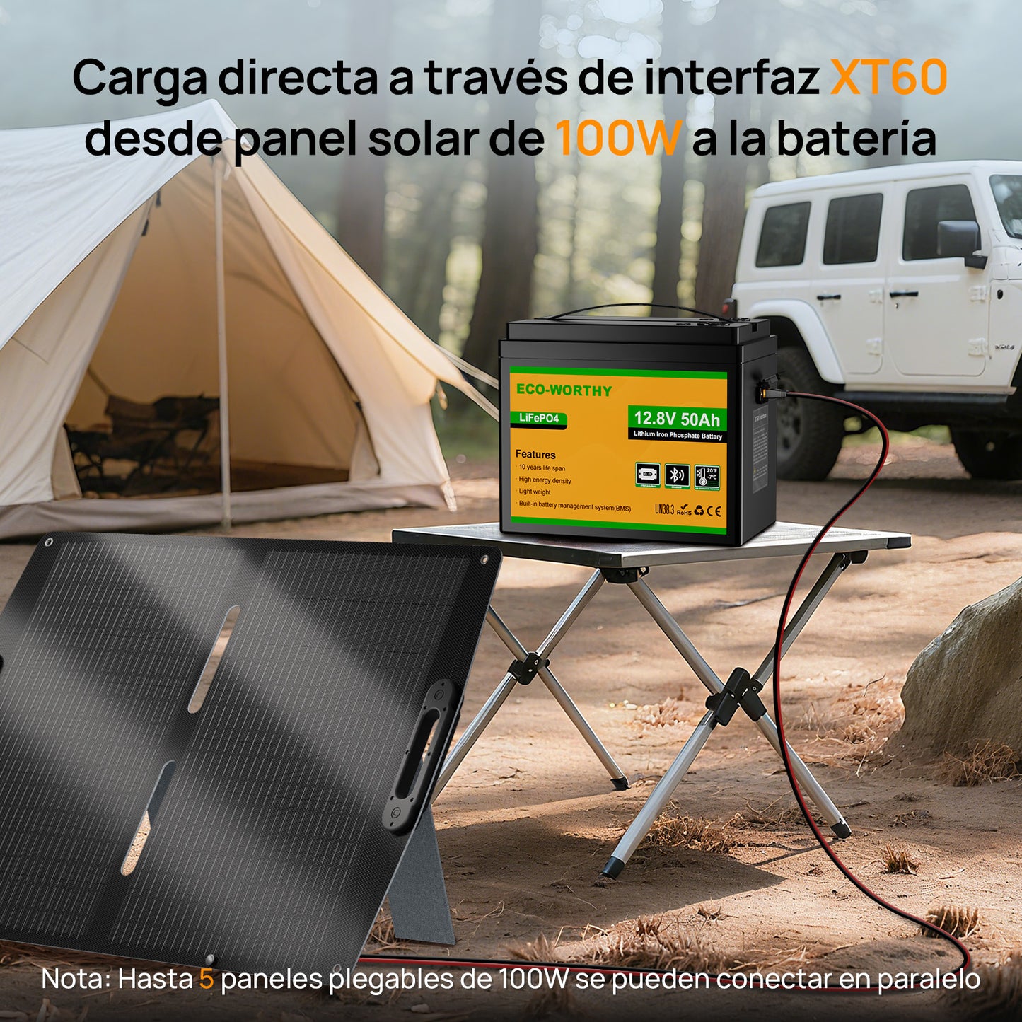 Batería Litio LiFePO4 12V 50Ah - Batería Litio LiFePO4 12V - eco - worthy - es