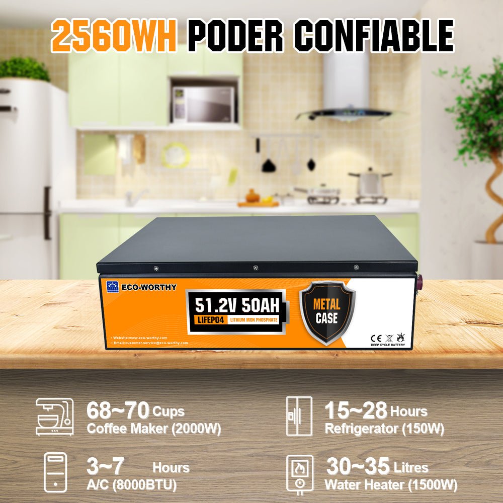 Batería Litio LiFePO4 48V 50Ah - Batería Litio LiFePO4 48V - eco - worthy - es