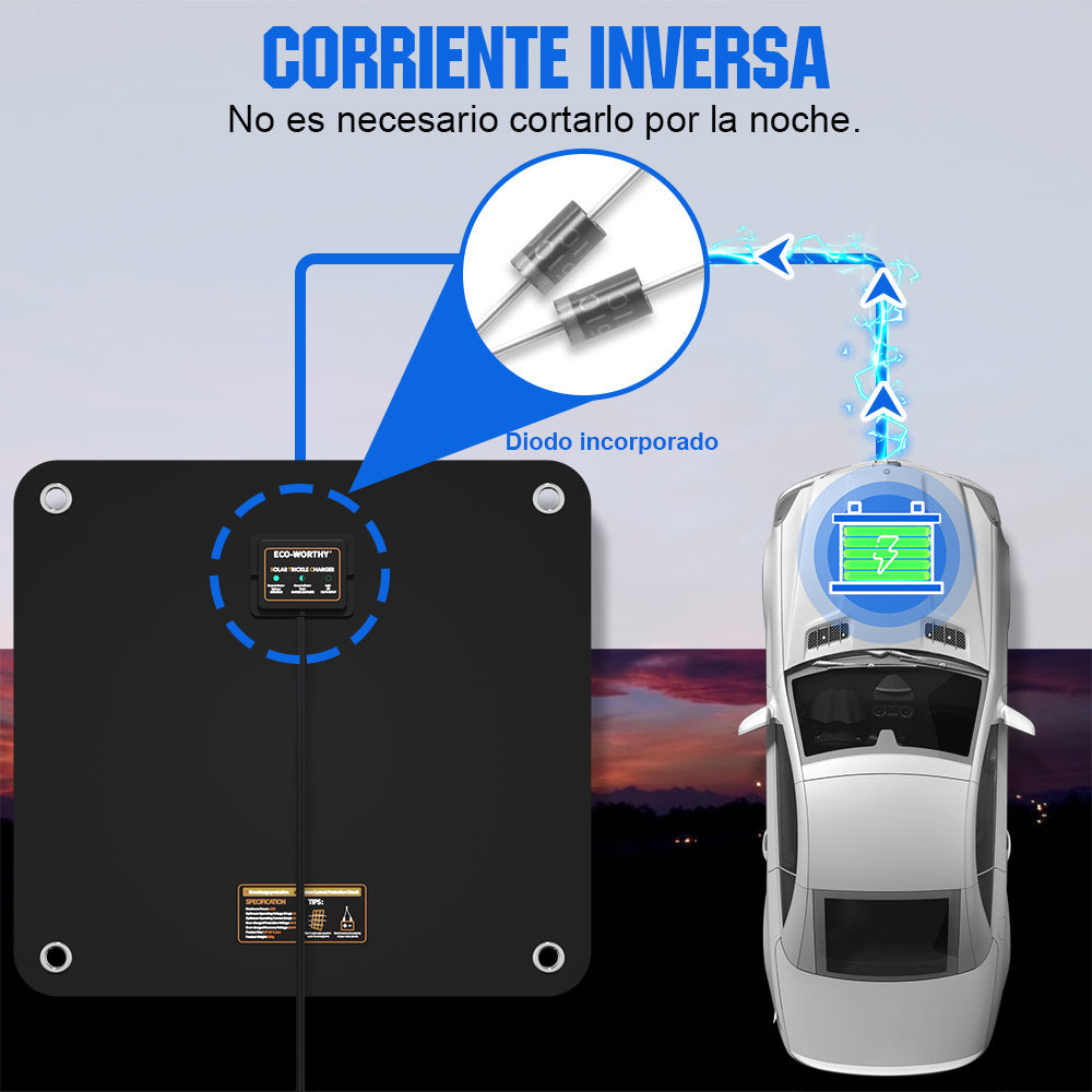 5W 10W Cargador solar portátil para baterías de 12V en automóvil y barco