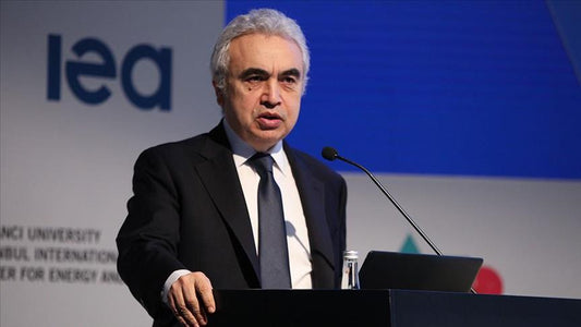 IEA Outlines Plan to Accelerate Renewable Power Project for Mitigating European Energy Crisis - eco-worthy-es