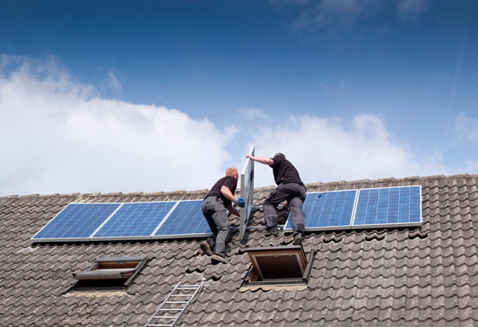 The US Solar Industry in 2021- Rising Price but Strong Demand - eco-worthy-es