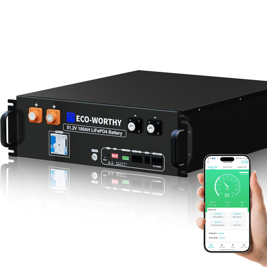 Batería para rack de servidor ECO-WORTHY de 48V(51,2V) 100 Ah LiFePO4, tamaño 3U, con Bluetooth y wifi- Versión 3