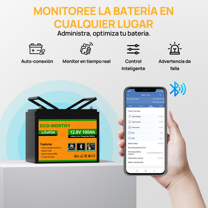 Batería Litio LiFePO4 12V 100Ah con Bluetooth - Batería Litio LiFePO4 12V - eco - worthy - es