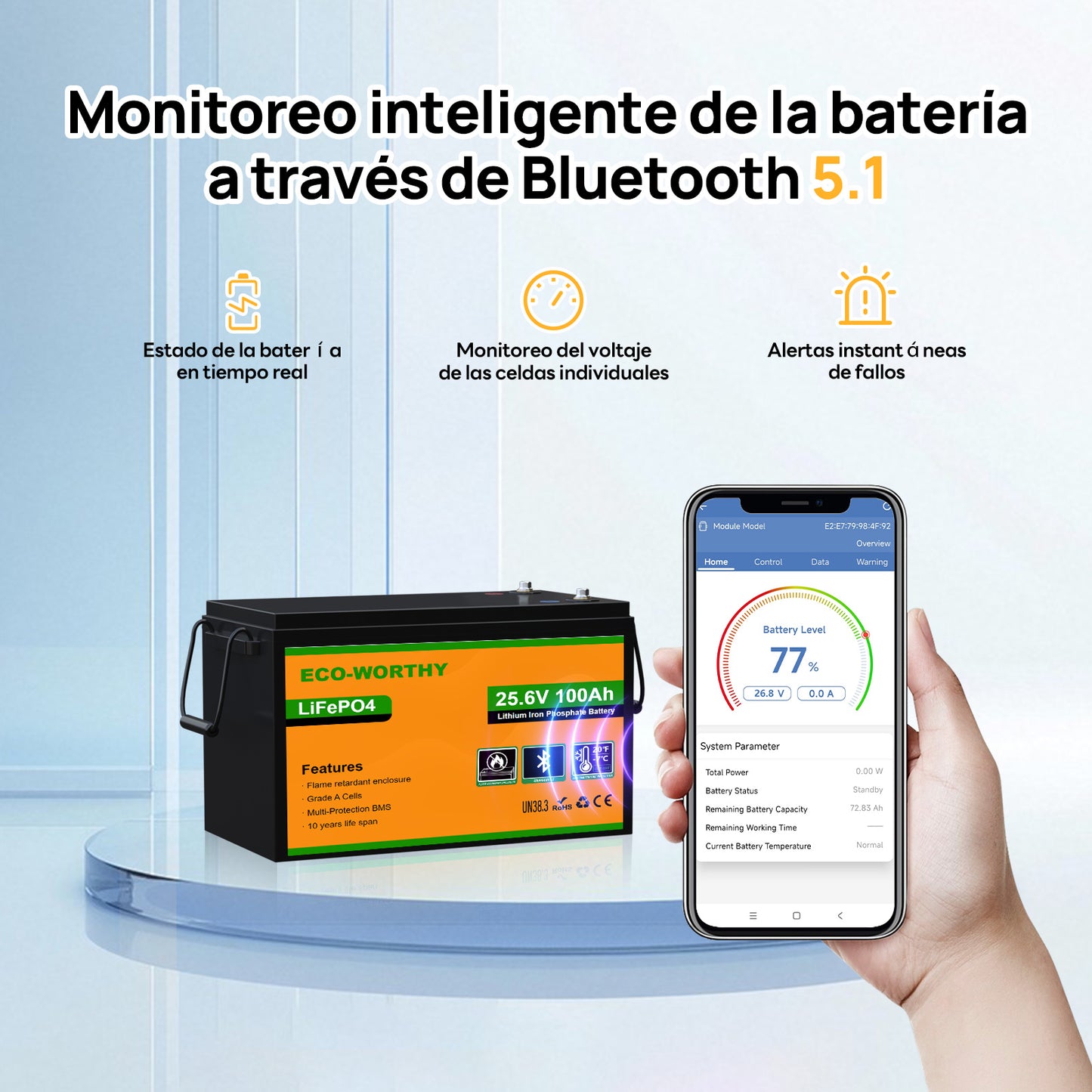 Batería Litio LiFePO4 24V 100Ah