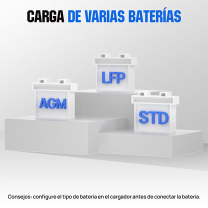 Cargador de batería inteligente de 20 A, 12 V/24 V con pantalla LCD para la mayoría de las baterías - Cargador de batería - eco - worthy - es