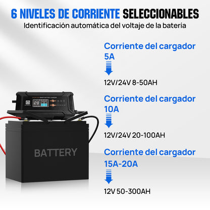 Cargador de batería inteligente de 20 A, 12 V/24 V con pantalla LCD para la mayoría de las baterías - Cargador de batería - eco - worthy - es