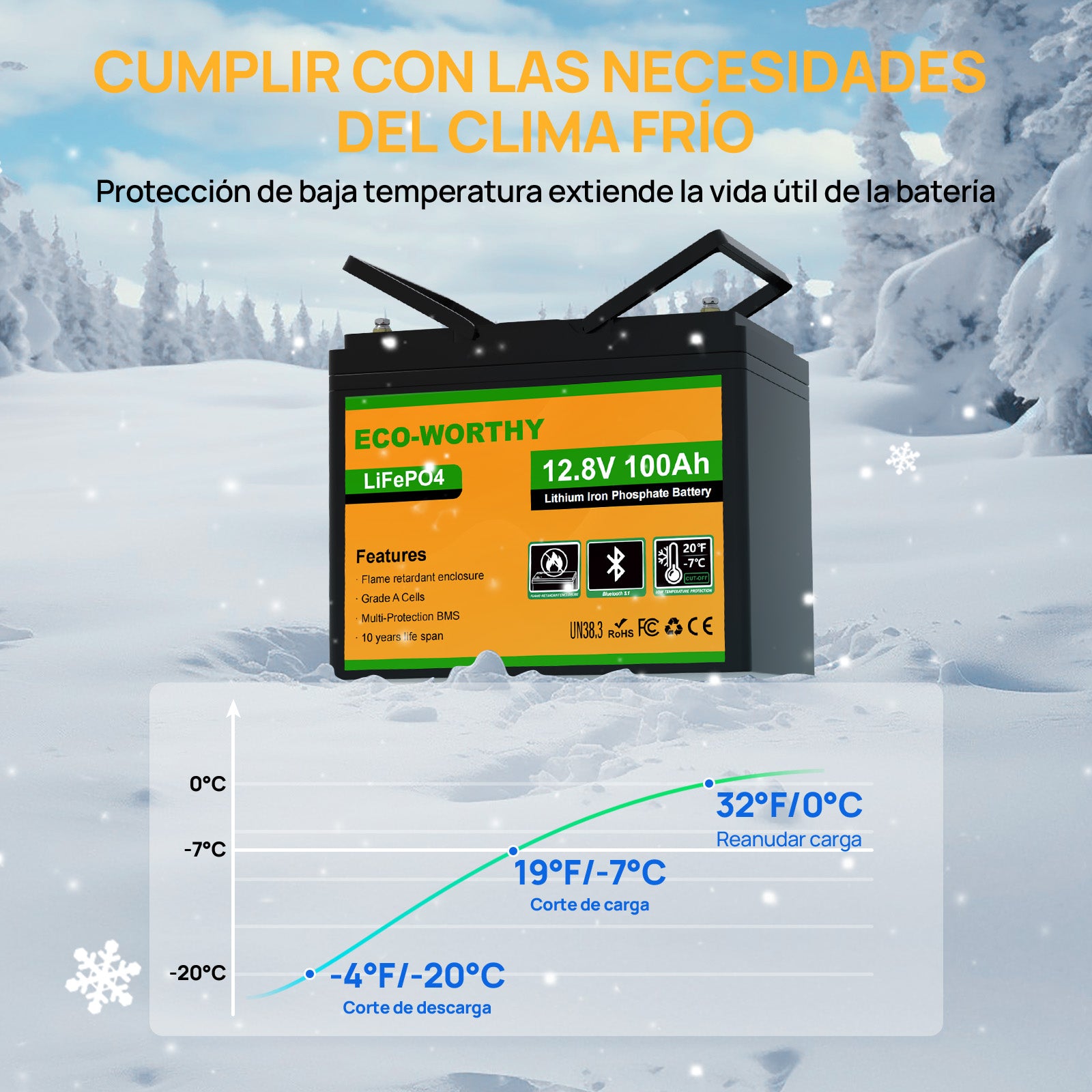 Batería Litio LiFePO4 12V 100Ah con Bluetooth - Batería Litio LiFePO4 12V - eco - worthy - es