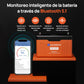 Batería Litio LiFePO4 24V 100Ah Con Bluetooth y WiFi - Batería Litio LiFePO4 24V - eco - worthy - es