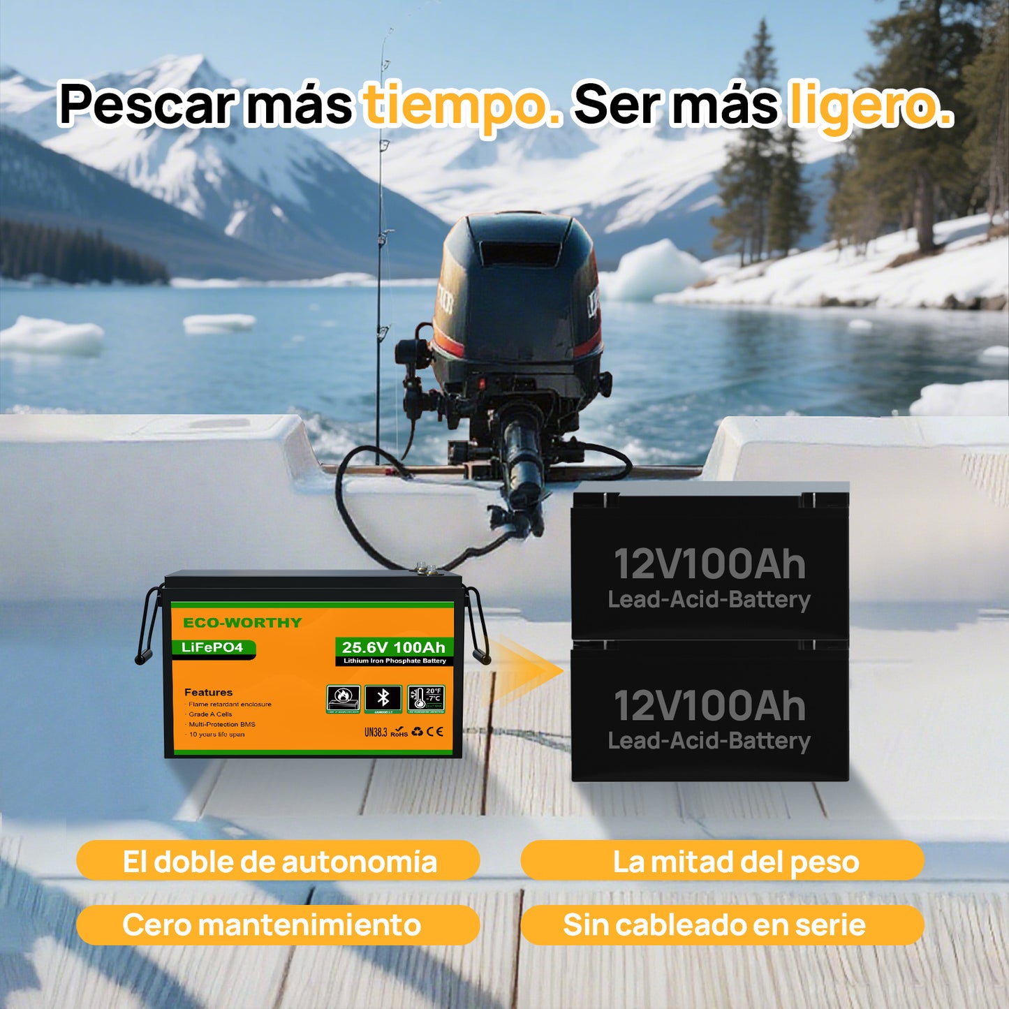 Batería Litio LiFePO4 24V 100Ah