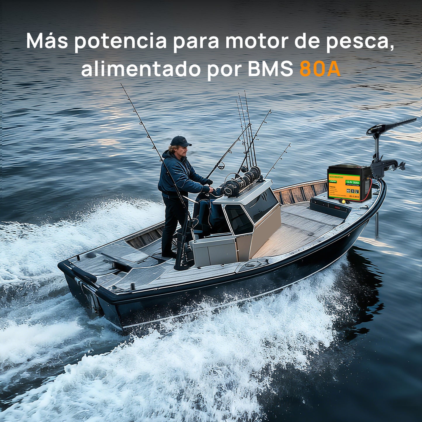 Batería Litio LiFePO4 12V 50Ah - Batería Litio LiFePO4 12V - eco - worthy - es