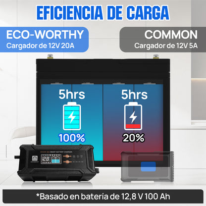 Cargador de batería inteligente de 20 A, 12 V/24 V con pantalla LCD para la mayoría de las baterías - Cargador de batería - eco - worthy - es