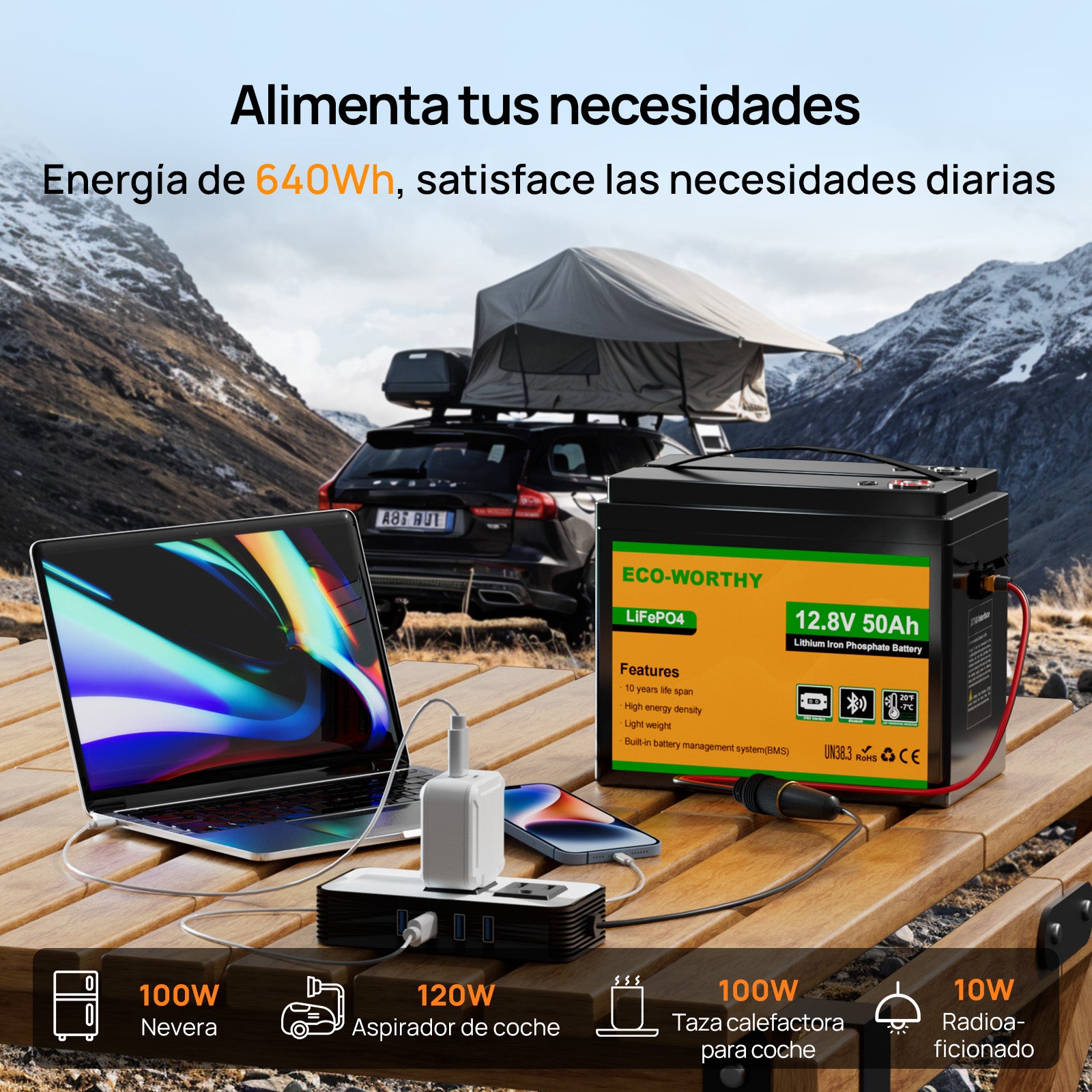 Batería Litio LiFePO4 12V 50Ah - Batería Litio LiFePO4 12V - eco - worthy - es
