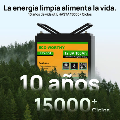Batería Litio LiFePO4 12V 100Ah con Bluetooth - Batería Litio LiFePO4 12V - eco - worthy - es