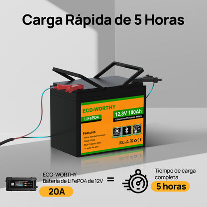 Batería Litio LiFePO4 12V 100Ah con Bluetooth - Batería Litio LiFePO4 12V - eco - worthy - es