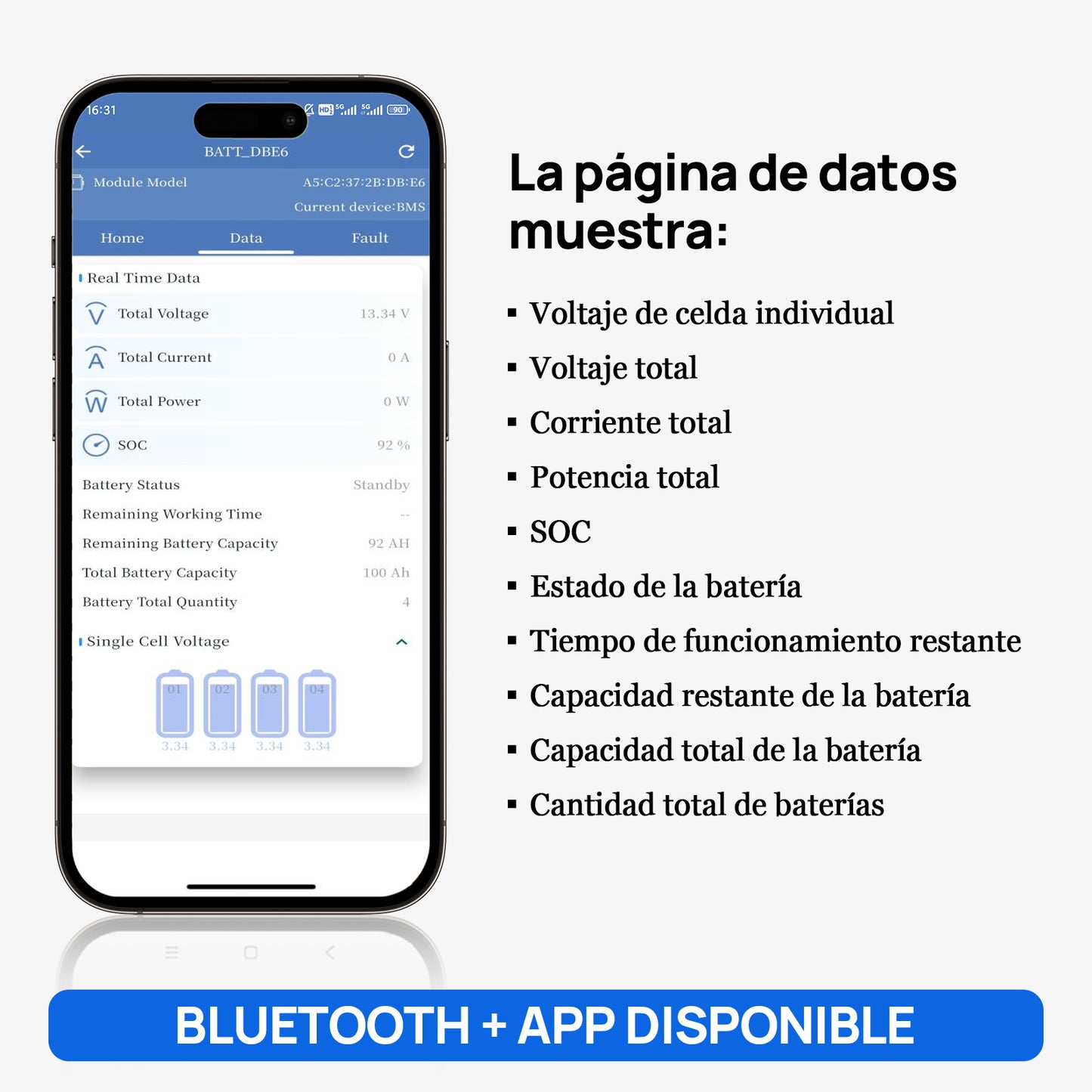 Batería Litio LiFePO4 12V 100Ah con Bluetooth