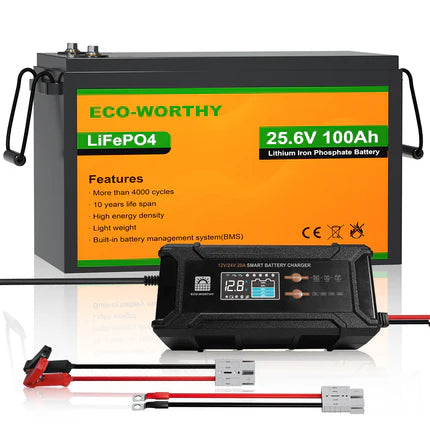 Batería Litio LiFePO4 24V 100Ah