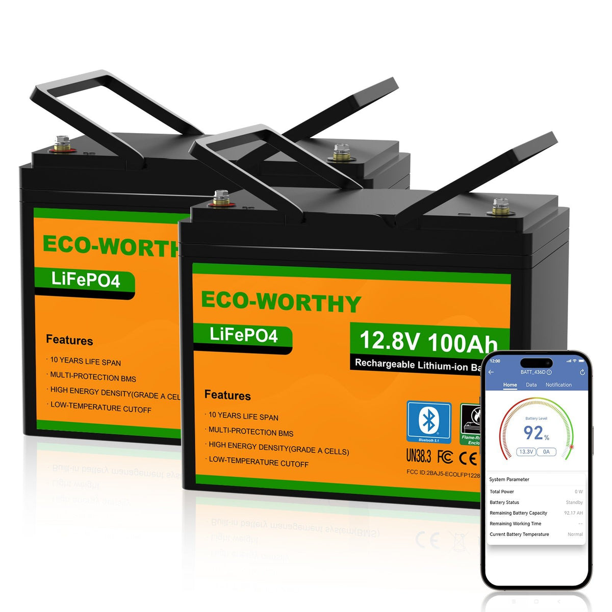 ECO-WORTHY Batería Litio LiFePO4 12V 100Ah con Bluetooth - Batería Litio LiFePO4 12V - eco-worthy-es