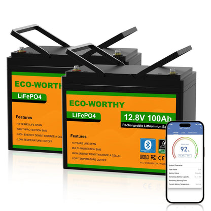 ECO-WORTHY Batería Litio LiFePO4 12V 100Ah con Bluetooth - Batería Litio LiFePO4 12V - eco-worthy-es