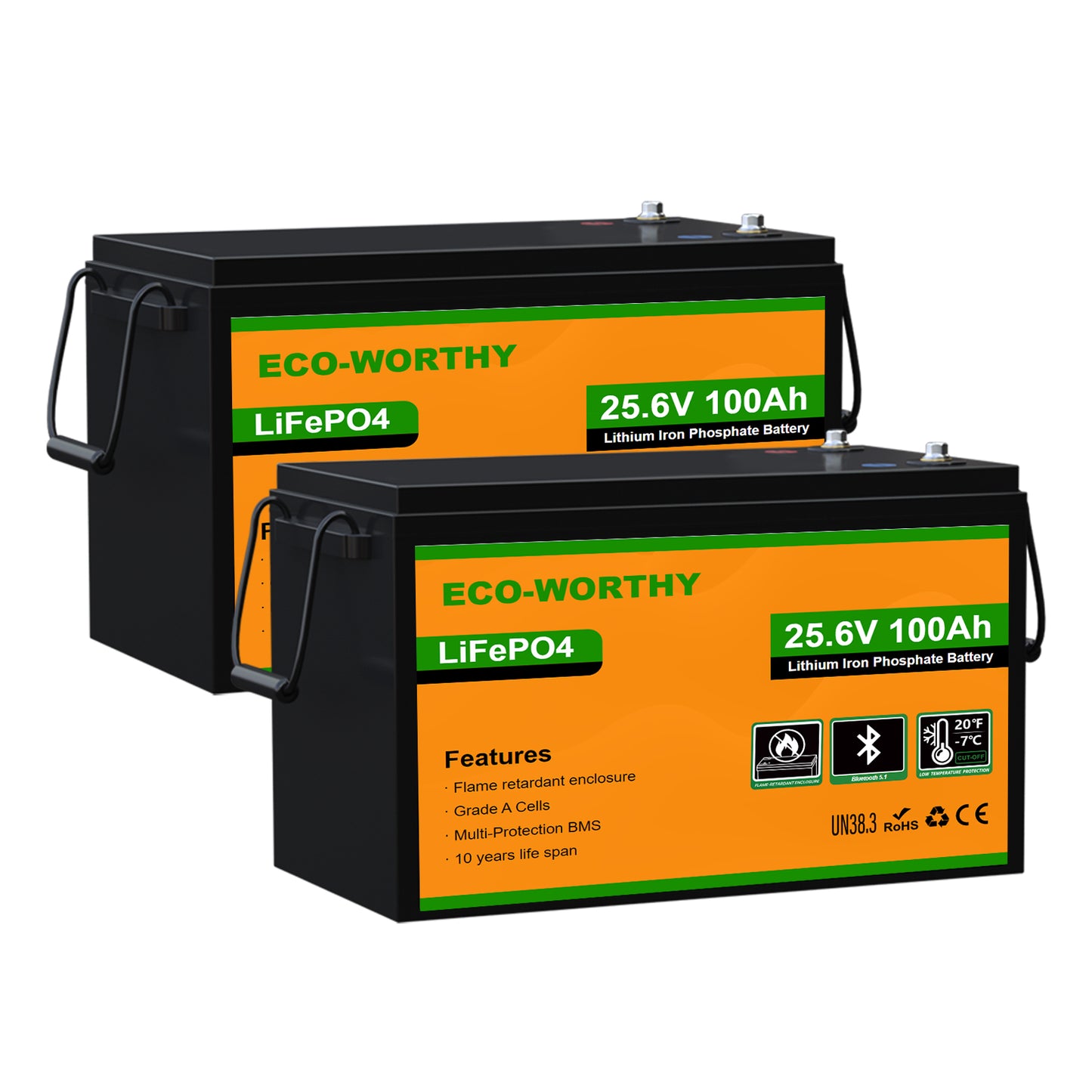 Batería Litio LiFePO4 24V 100Ah