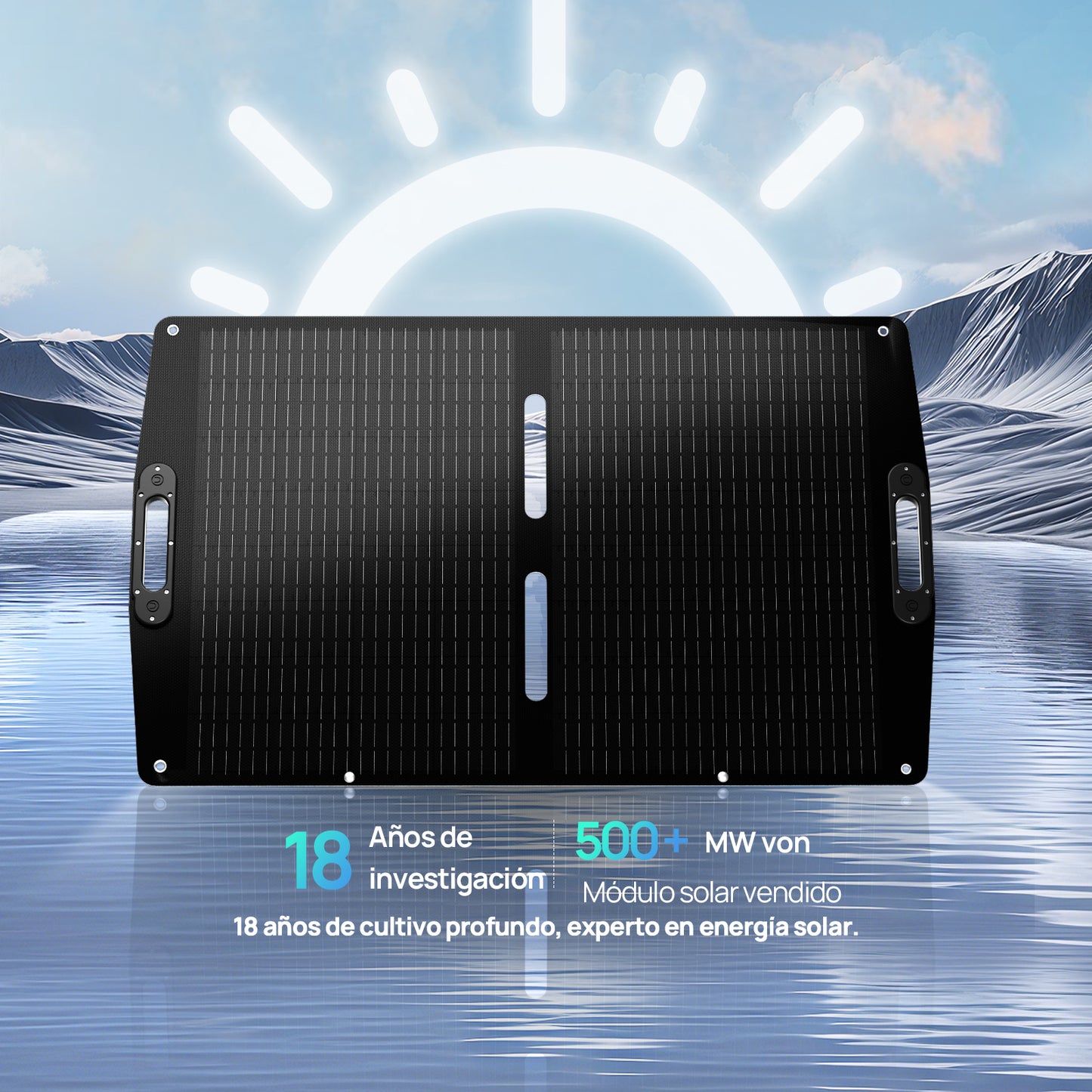 Pro. 100W 12V Maleta de panel solar plegable