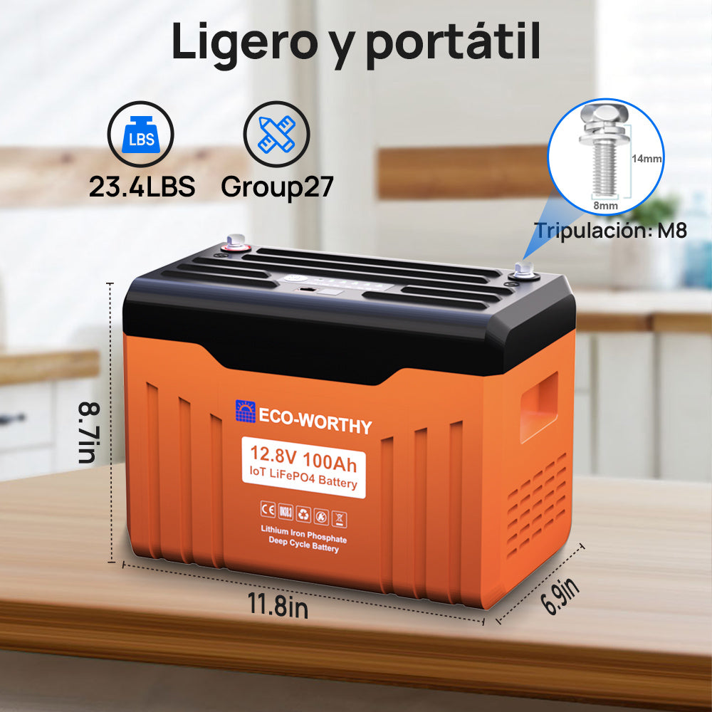 Bateria_Litio_LiFePO4_12V_100Ah_Con_Bluetooth_y_WiFi_009