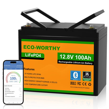 ECO-WORTHY Batería Litio LiFePO4 12V 100Ah con Bluetooth - Batería Litio LiFePO4 12V - eco-worthy-es