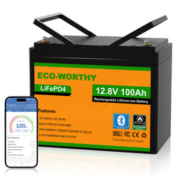 ECO-WORTHY Batería Litio LiFePO4 12V 100Ah con Bluetooth