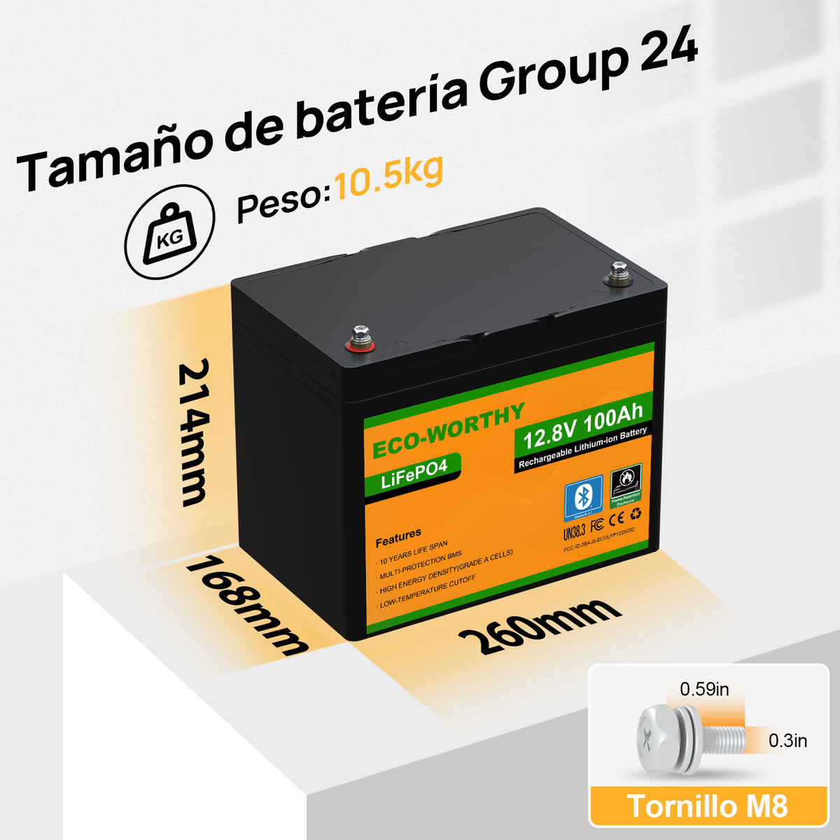 ECO-WORTHY Batería Litio LiFePO4 12V 100Ah con Bluetooth - Batería Litio LiFePO4 12V - eco-worthy-es