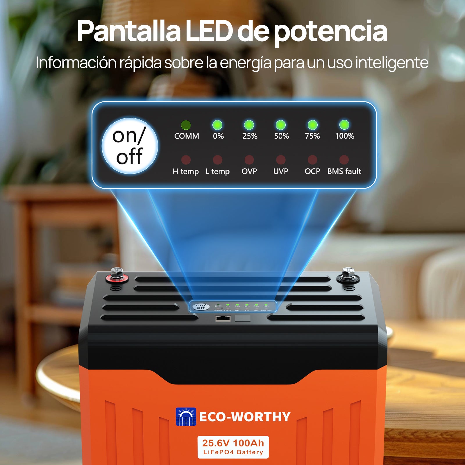 Bateria_Litio_LiFePO4_24V_100Ah_Con_Bluetooth_y_WiFi_2