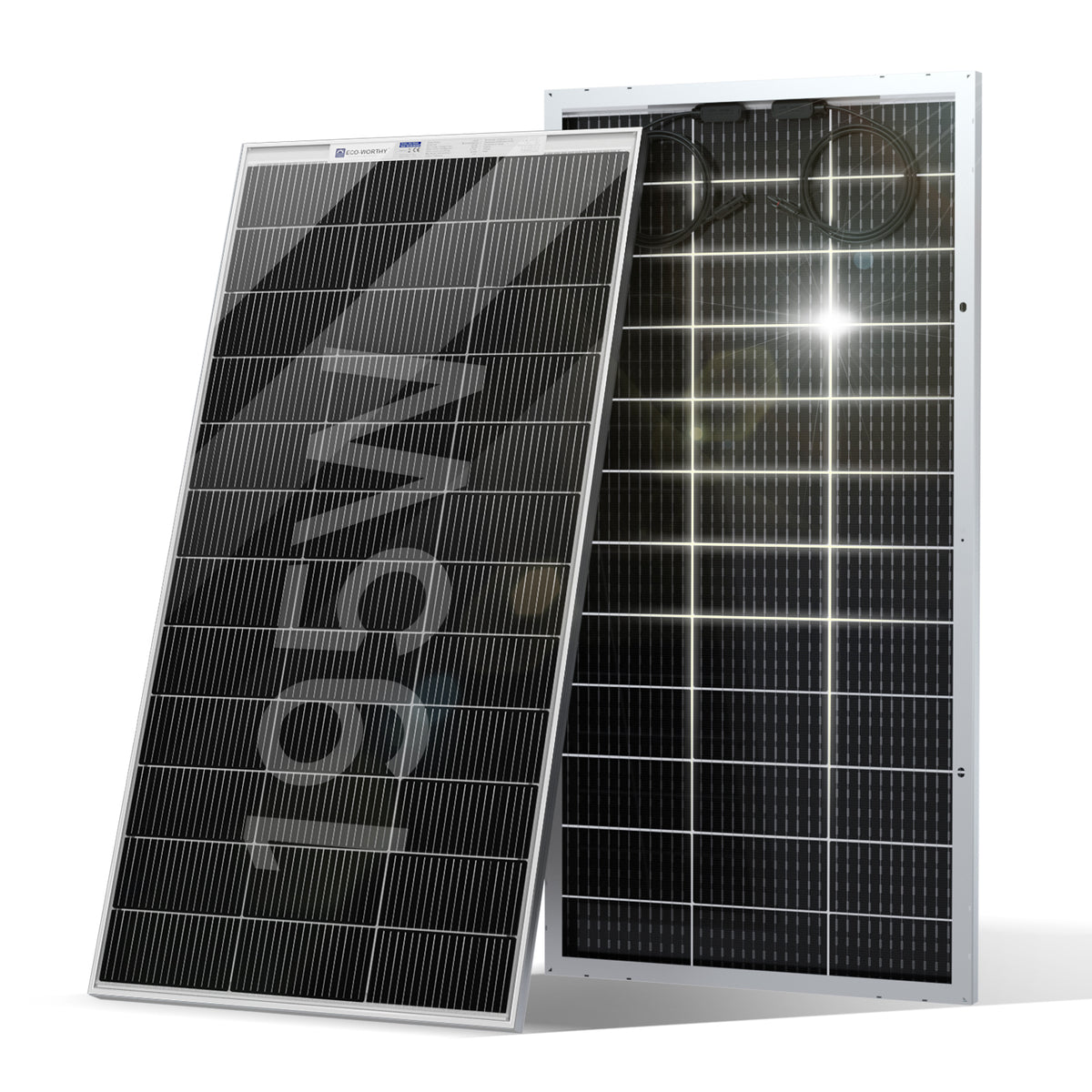 ECO-WORTHY Bifacial 195W 12V Panel Solar Monocristalino 