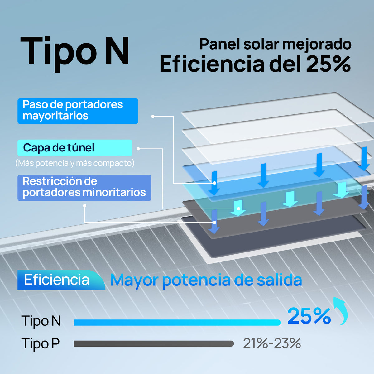 ECO-WORTHY Bifacial 195W 12V Panel Solar Monocristalino 