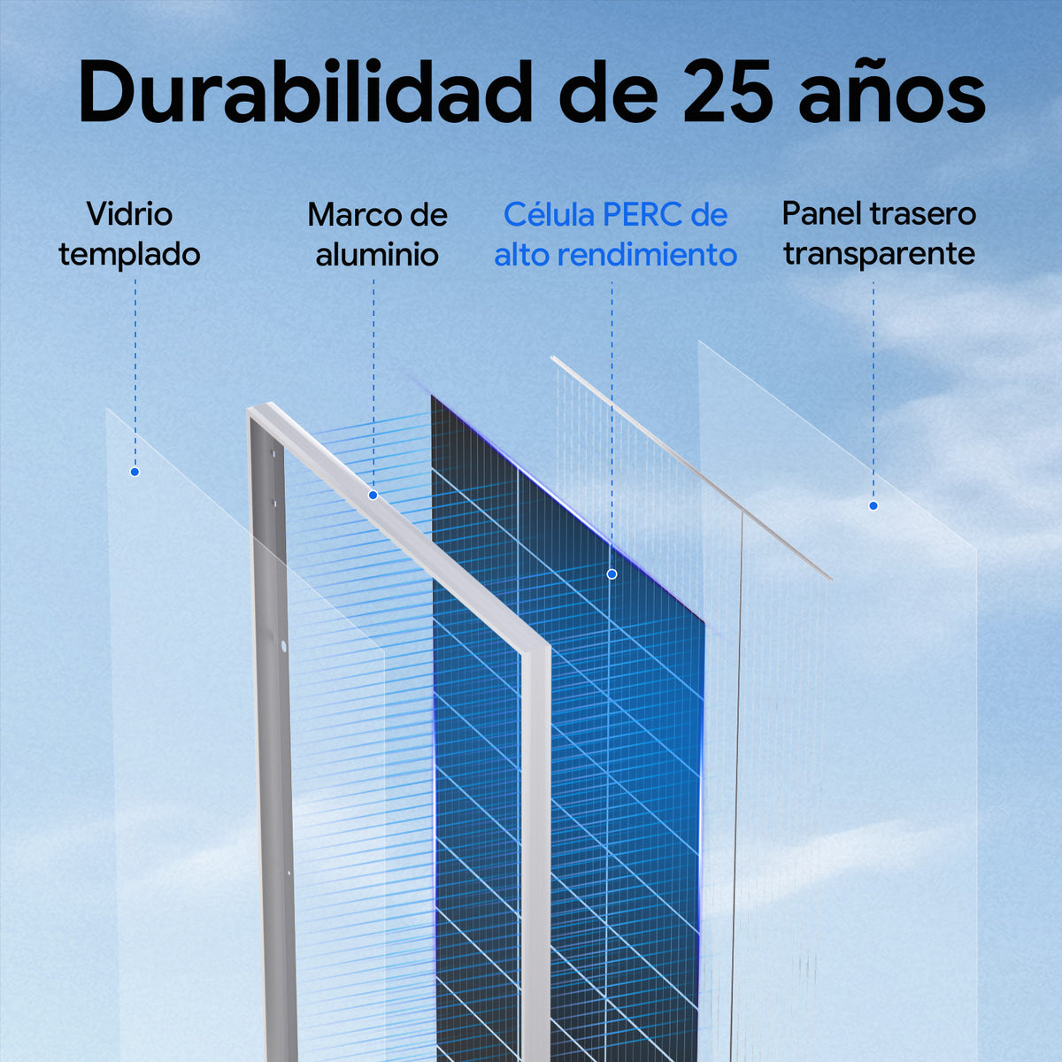 ECO-WORTHY Bifacial 195W 12V Panel Solar Monocristalino 