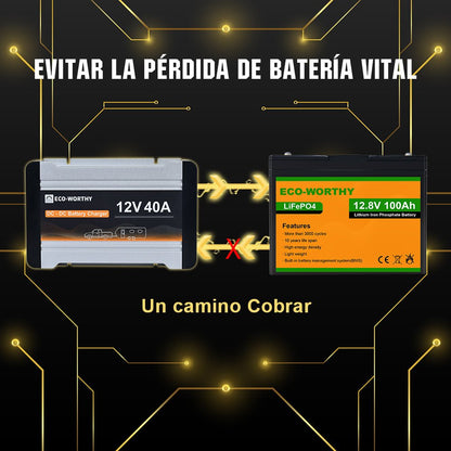 12V 20A & 40A DC a DC Charger MPPT Batería Cargador - Regulador de Carga - eco - worthy - es