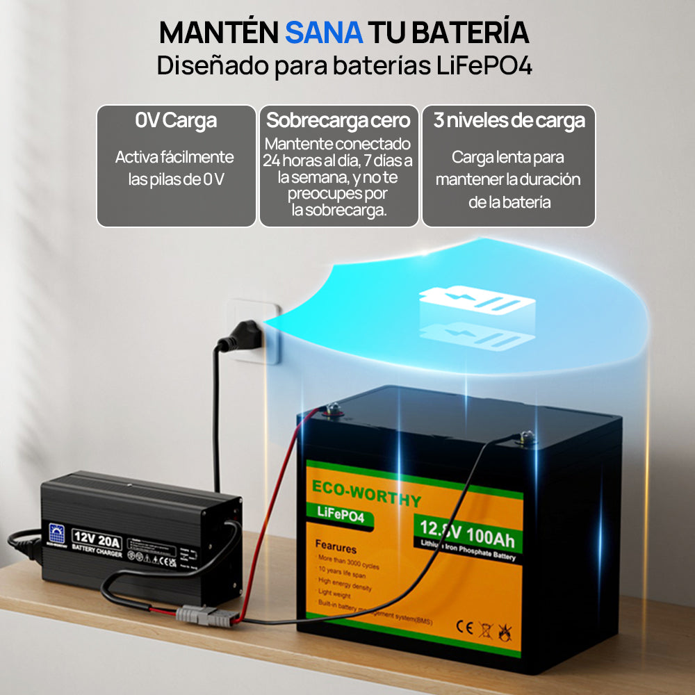 ecoworthy_lithium_battery_charger_12V_20A_2