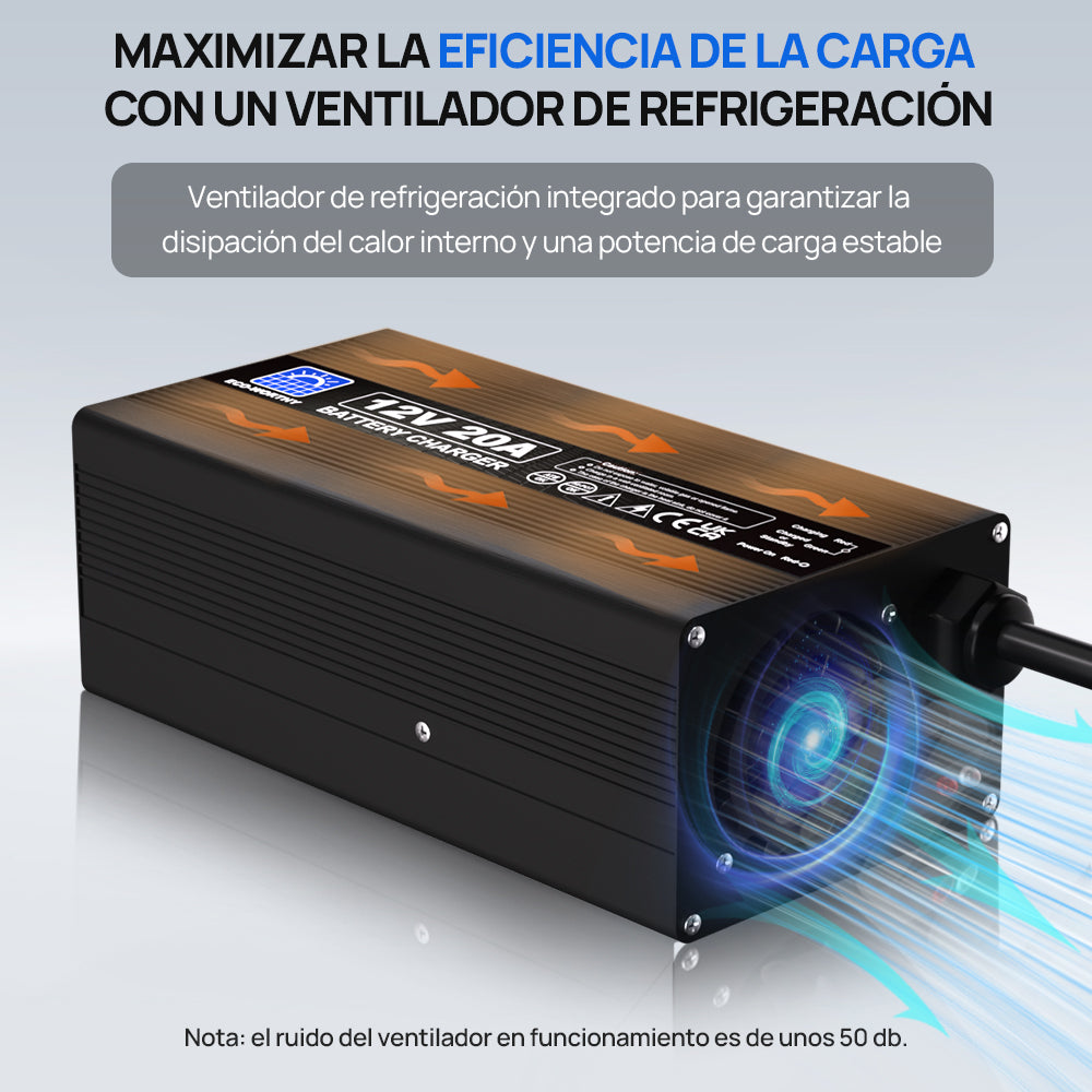 ecoworthy_lithium_battery_charger_12V_20A_3