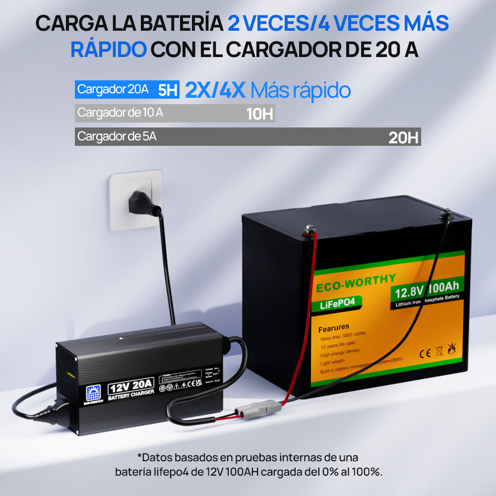 ecoworthy_lithium_battery_charger_12V_20A_4