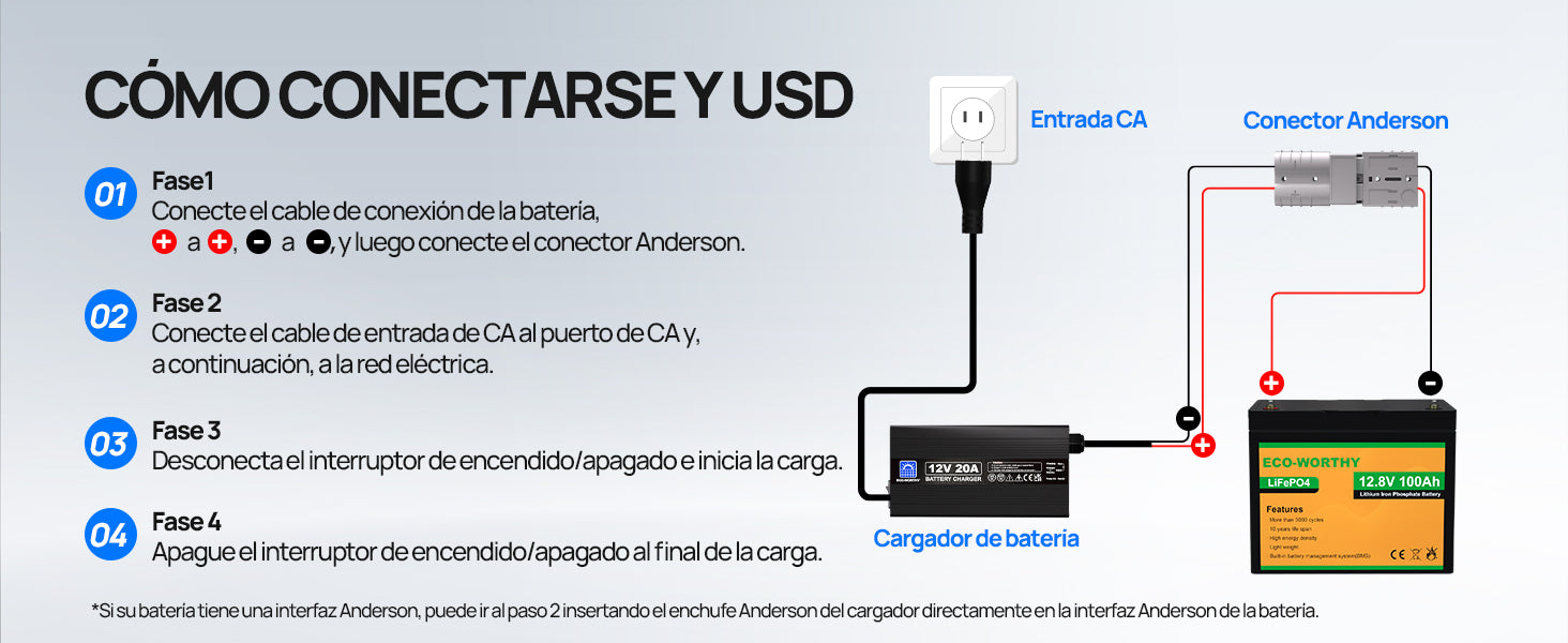 ecoworthy_lithium_battery_charger_12V_20A_A_06_1.jpg?v=1732255681