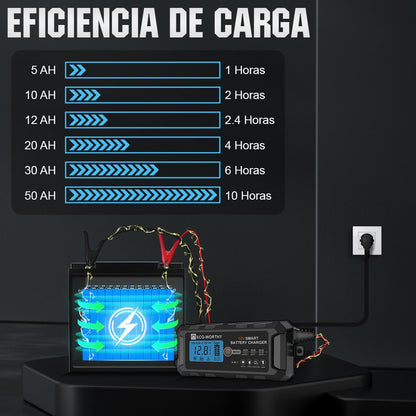 Cargador de batería inteligente automático de 5A y 10A 12V con pantalla LCD para baterías de litio (LiFePO4) - Cargador de batería - eco - worthy - es