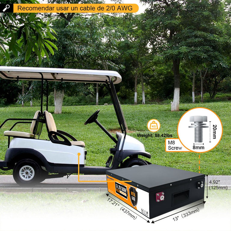 Batería Litio LiFePO4 48V 50Ah - Batería Litio LiFePO4 48V - eco - worthy - es