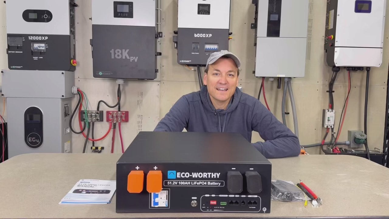 Still one of the cheapest options, Ecoworthy 48v rack battery new version, tear down and comparison