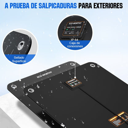 10W Cargador solar portátil para baterías de 12V en automóvil y barco - 5W - 25W Paneles solares - eco - worthy - es